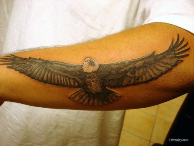 Eagle arm tattoo designs for men