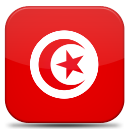 Bandeira Tunisia
