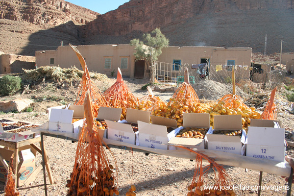 Tâmaras Marrocos