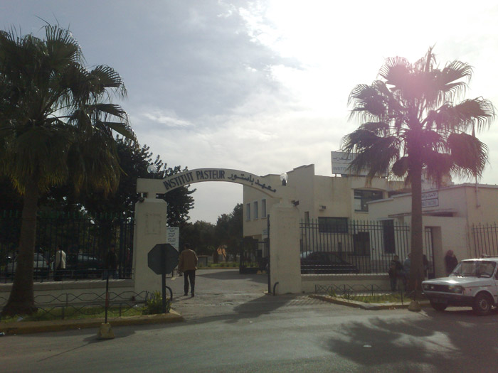Institut Pasteur du Maroc em Casablanca Marrocos
