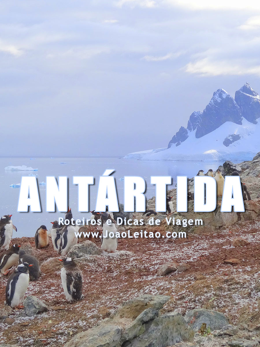 Visitar Antártida - Roteiros e Dicas de Viagem