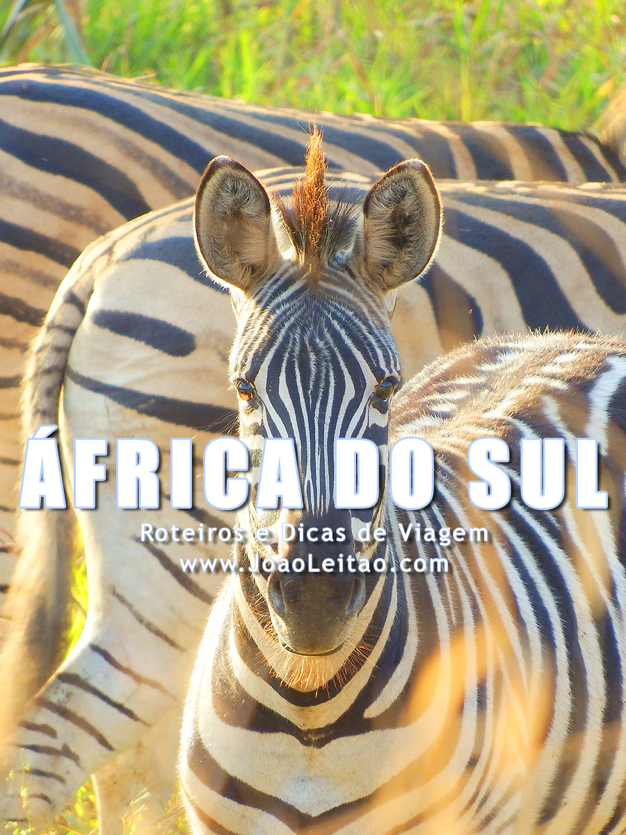 Visitar África do Sul – Roteiros e Dicas de Viagem