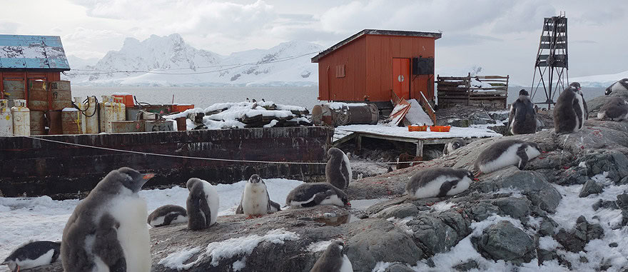Visit Almirante Brown Station - Antarctica Travel Guide