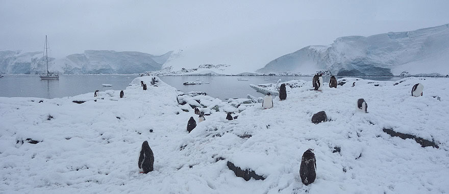 Visit Jougla Point - Antarctica Travel Guide