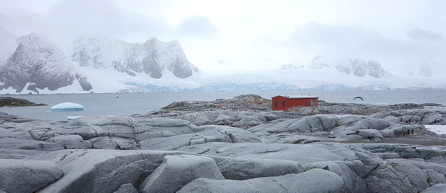Visit Pettermann Island - Antarctica Travel Guide