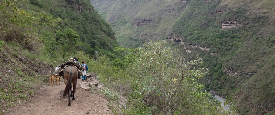 Alva Peru