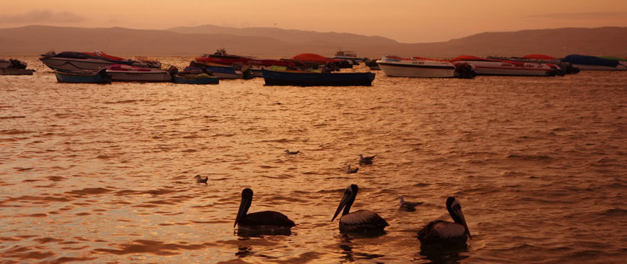 Paracas Peru