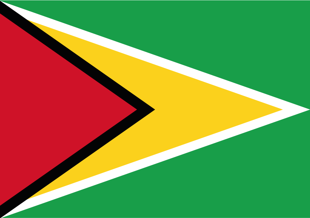 BANDEIRA DA GUIANA