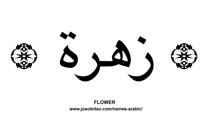 Flowers in Arabic: Arabic FLOWER