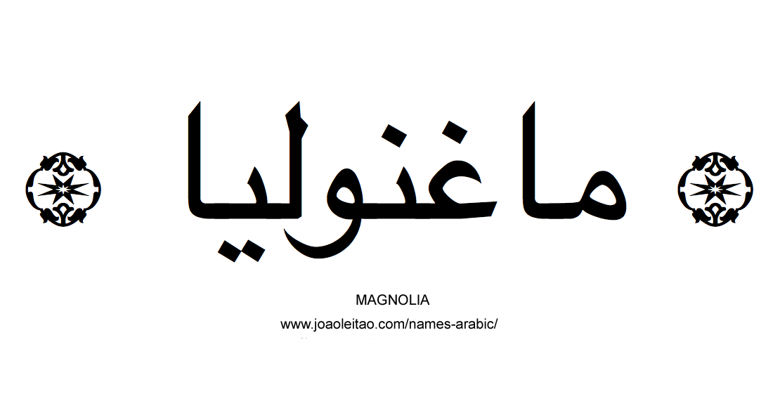 Flowers in Arabic: Arabic MAGNOLIA