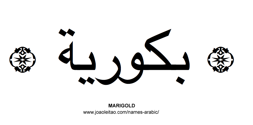 Flowers in Arabic: Arabic MARIGOLD