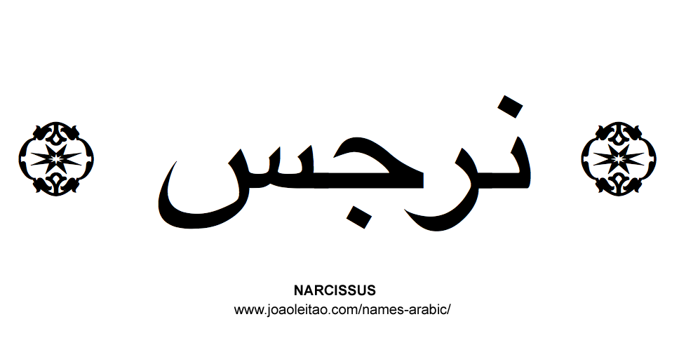 Flowers in Arabic: Arabic NARCISSUS