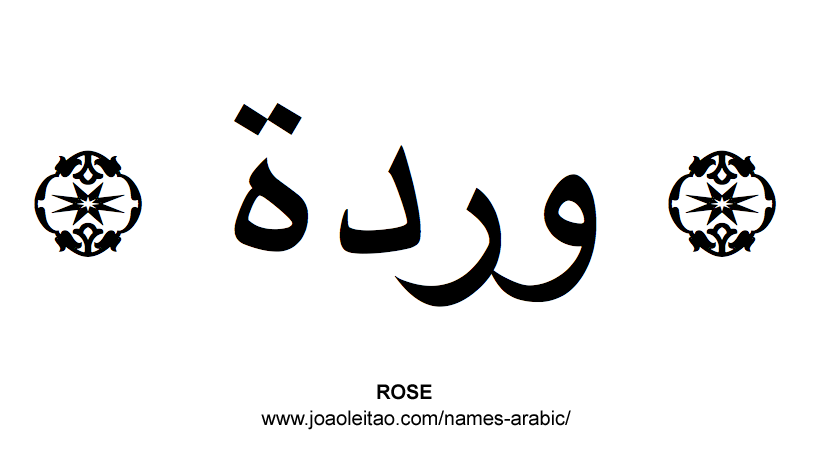 Flowers in Arabic: Arabic ROSE