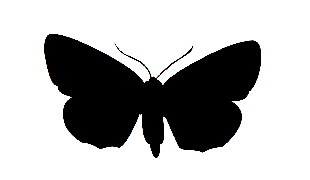 Desenho de Borboleta para Tatuagem