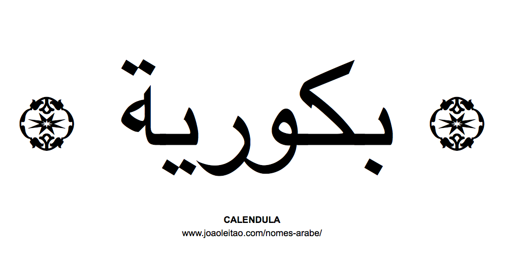 Flores em árabe: CALENDULA em árabe