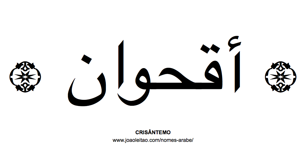 Flores em árabe: CRISANTEMO em árabe
