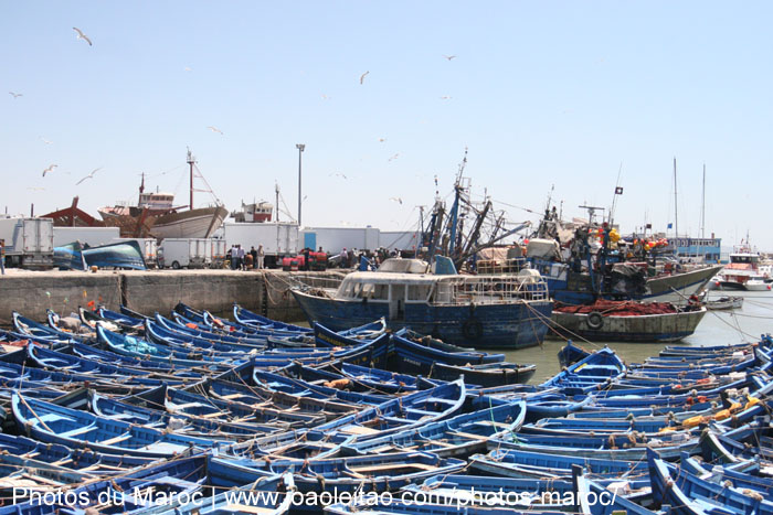 Bateaux de pêche bleus dans le port d'Essaouira