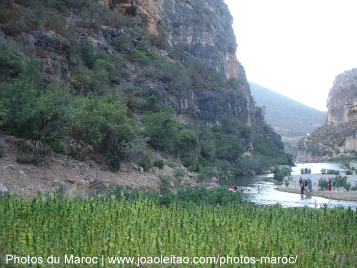 Plantation de marijuana et rivière dans les montagnes du Rif