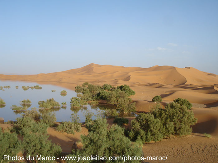 Lac Yasmina dans les Dunes de l'Erg Chebbi au Désert du Sahara