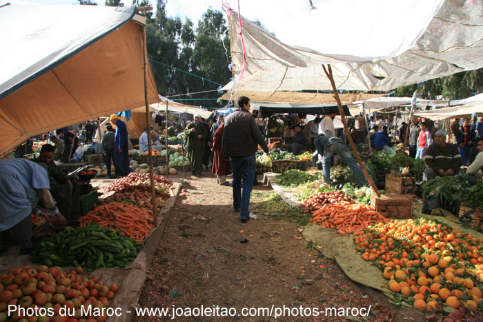 Section de fruits dans le marché d'Asni
