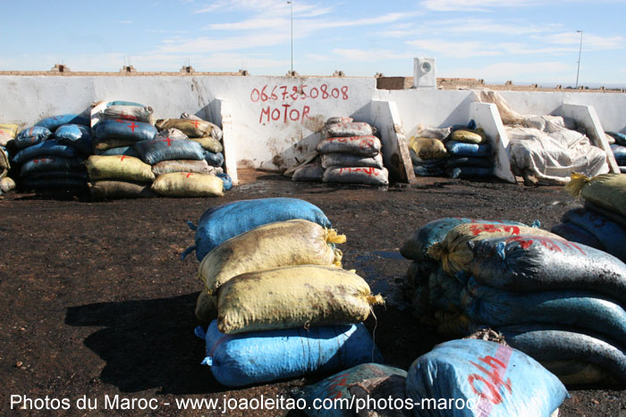 Sacs dans une usine de production d'huile d'olive à Missour