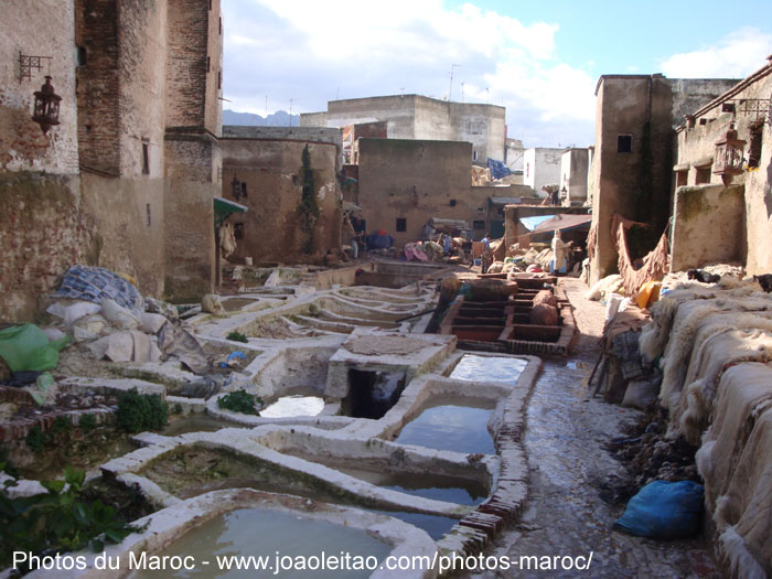 Tannerie de Tétouan dans le nord du Maroc