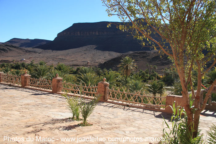 Vue panoramique de la terrasse dans l'oasis de Fint à 12 km de Ouarzazate