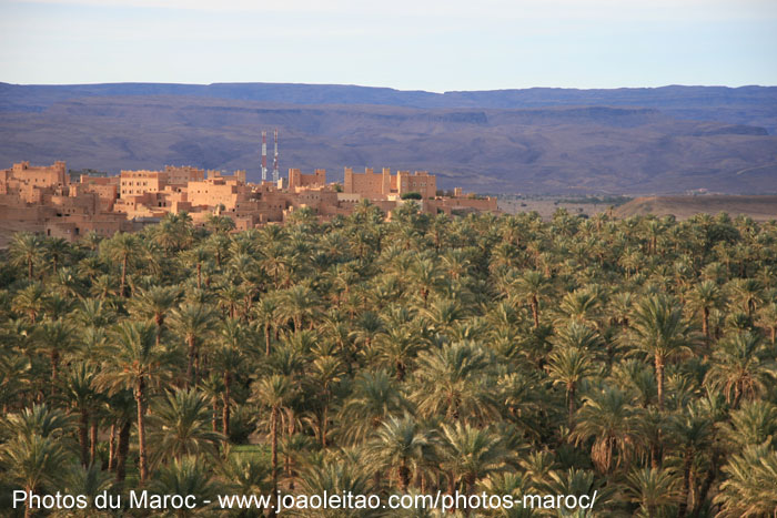 Vue de la palmeraie du village berbère de Nkob