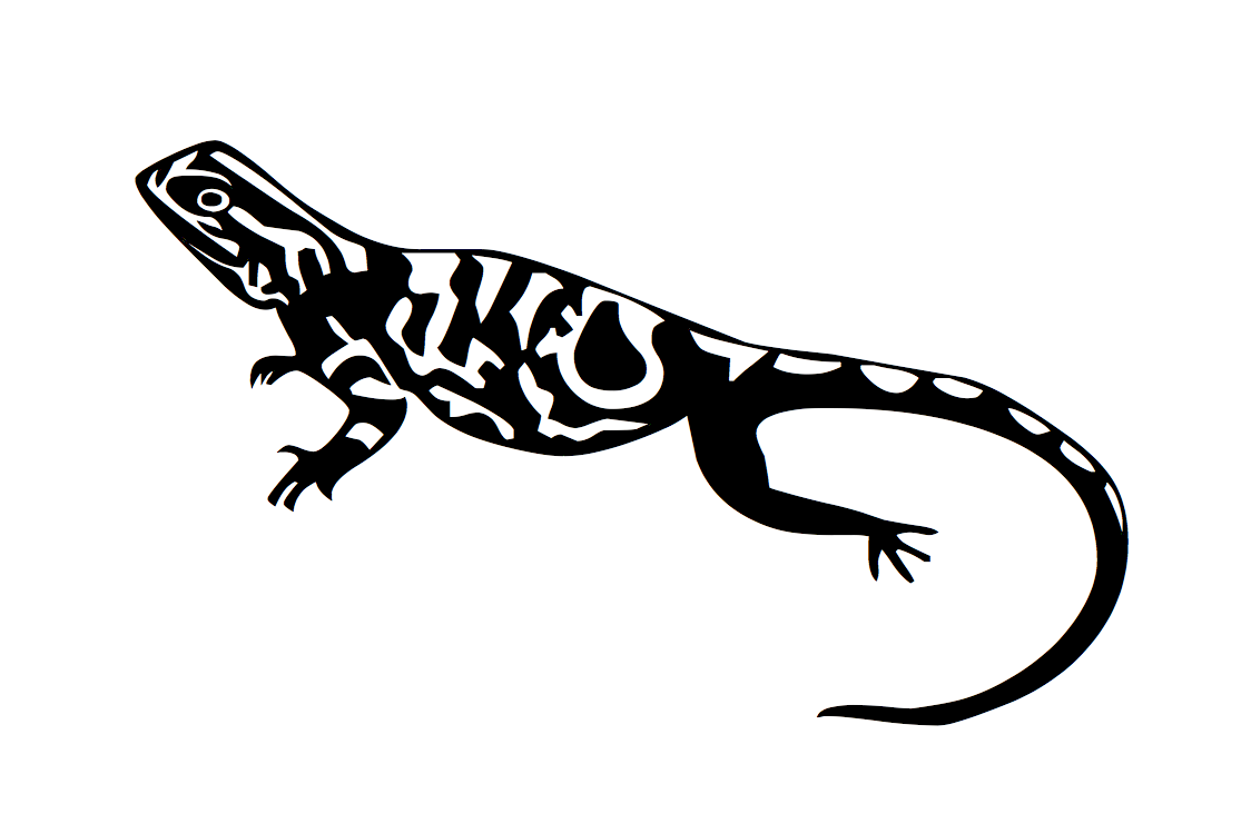 Dessin d'un lezard pour le tatouage