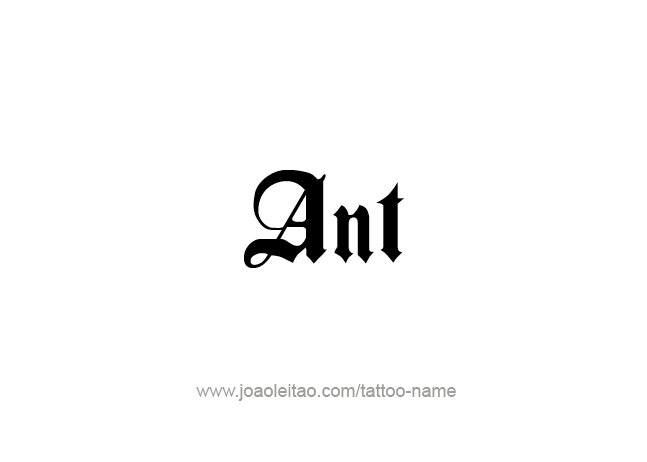 Tattoo Design Animal Name Ant