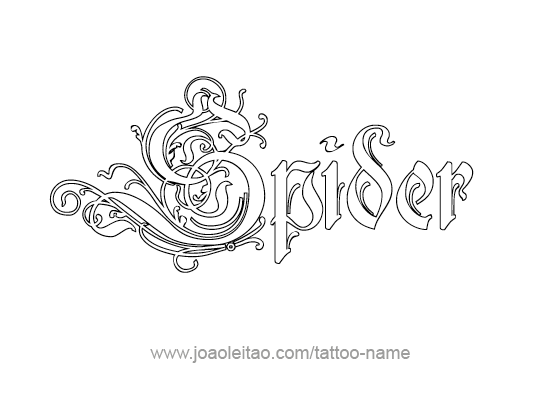 Tattoo Design Animal Name Spider