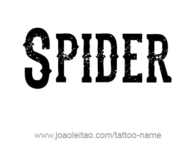 Tattoo Design Animal Name Spider