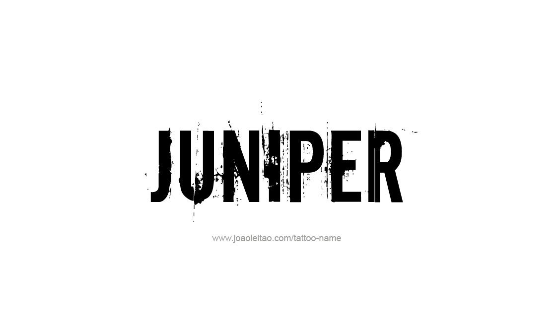 Juniper Name Tattoo Designs