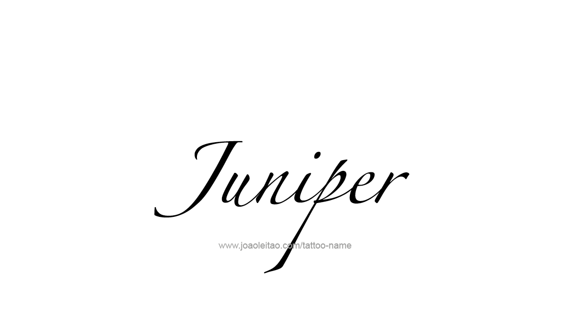 Juniper Name Tattoo Designs