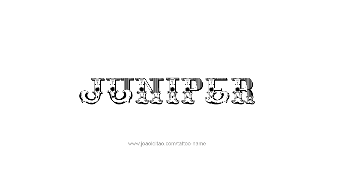 Tattoo Design Name Juniper   