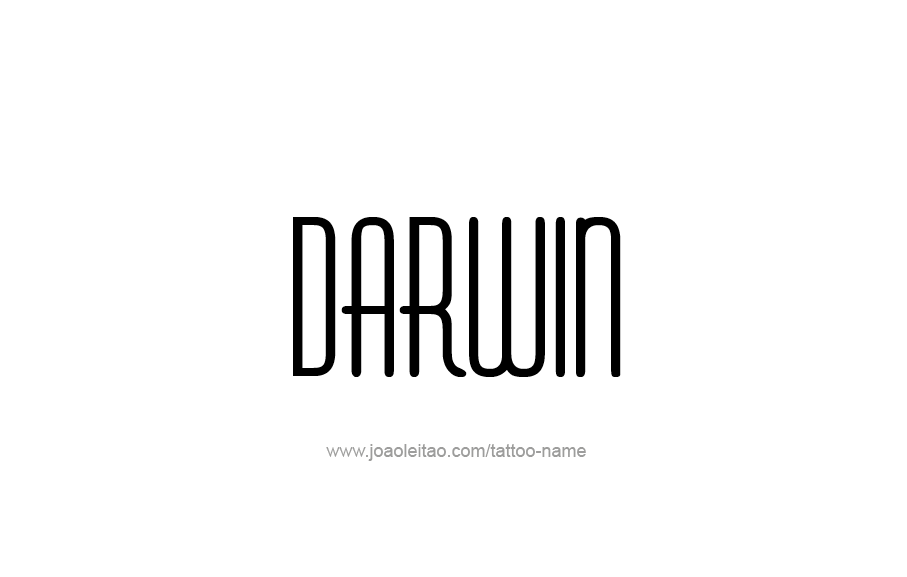 Tattoo Design  Name Darwin   