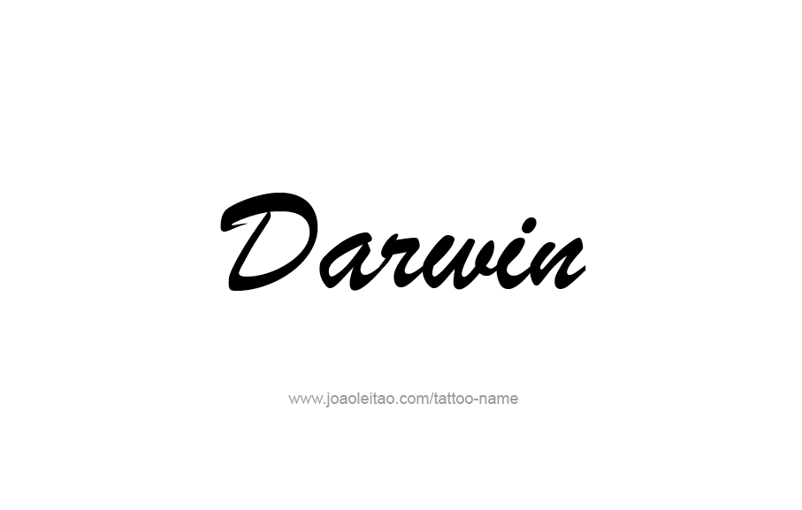 Tattoo Design  Name Darwin   