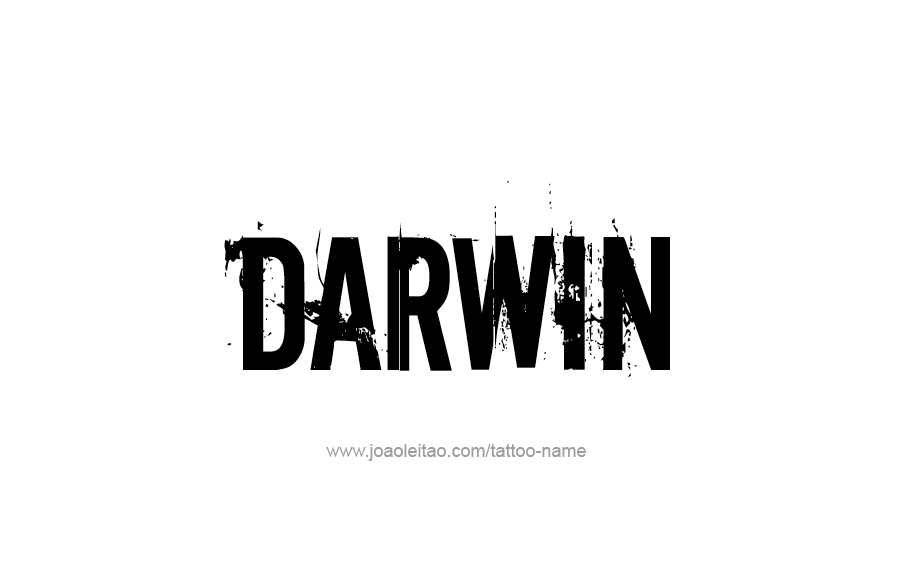 Tattoo Design  Name Darwin   