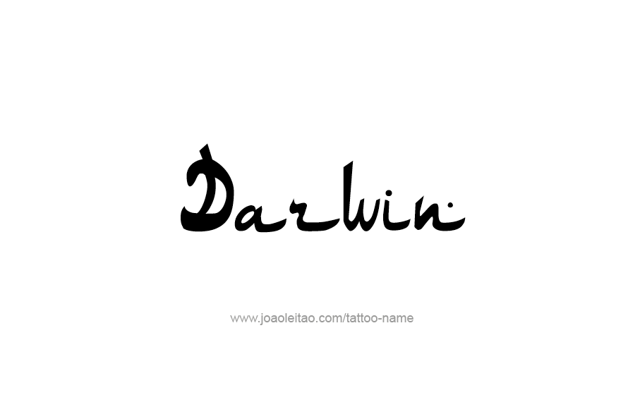 Tattoo Design  Name Darwin   