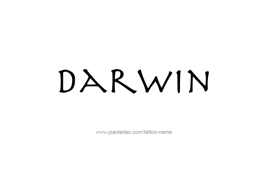 Tattoo Design  Name Darwin   