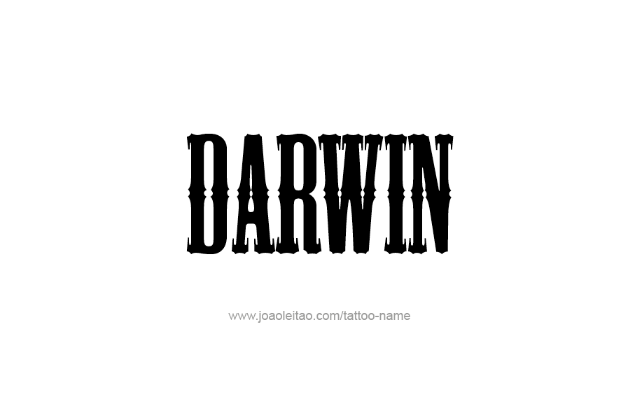 Tattoo Design  Name Darwin   