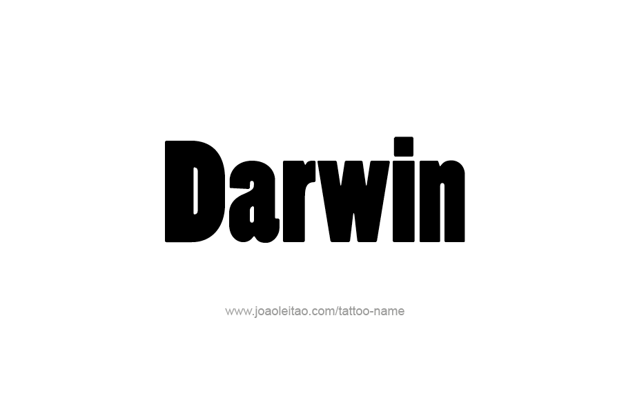 Tattoo Design  Name Darwin   