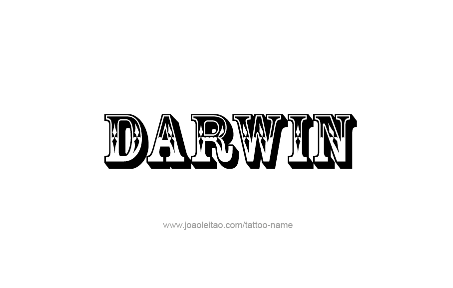 Tattoo Design  Name Darwin   