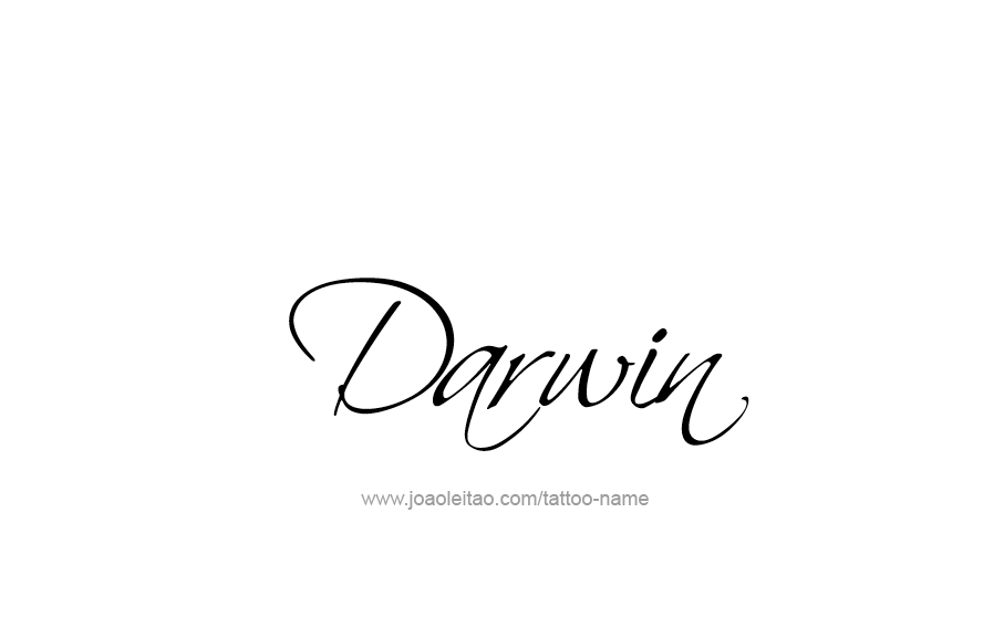 Tattoo Design  Name Darwin   