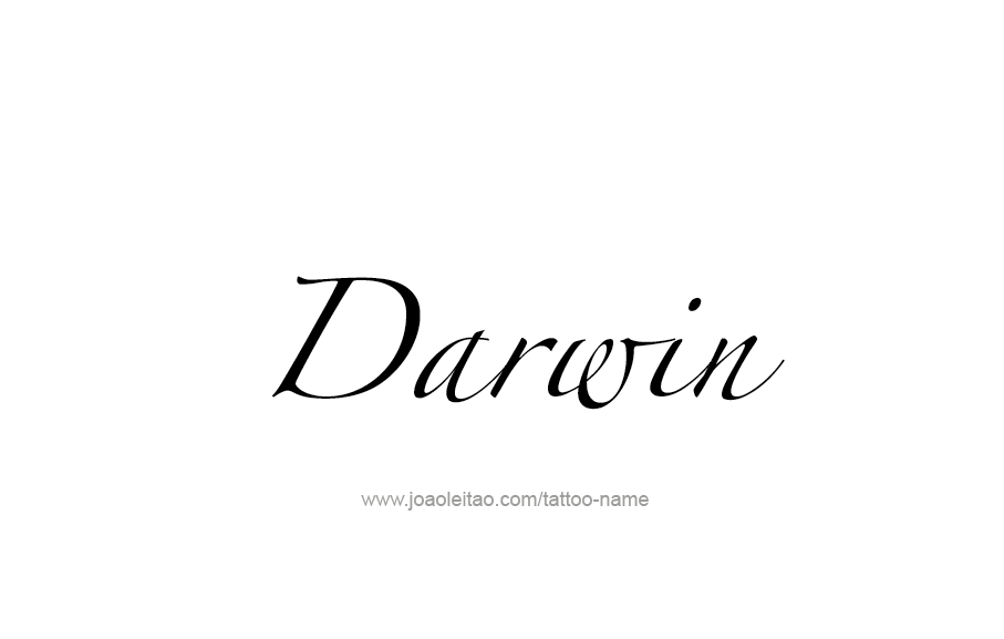 Tattoo Design  Name Darwin   