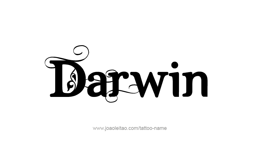 Tattoo Design  Name Darwin   