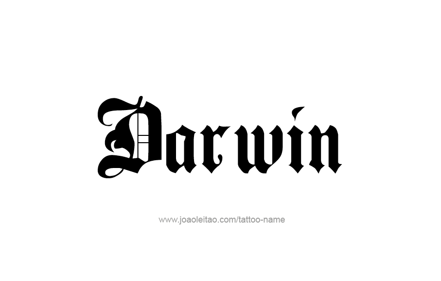 Tattoo Design  Name Darwin   