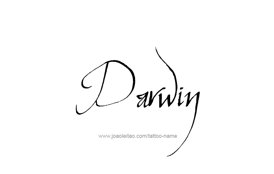 Tattoo Design  Name Darwin   