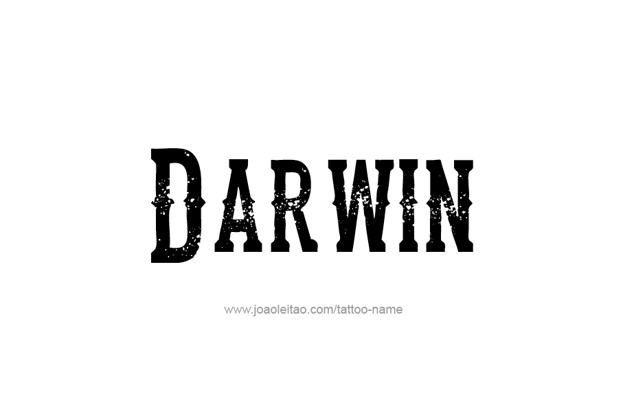 Tattoo Design  Name Darwin   