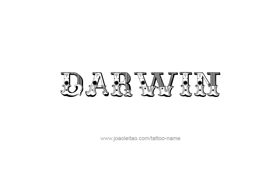 Tattoo Design  Name Darwin   